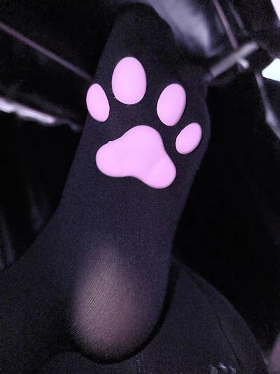 Luminous cat paw socks