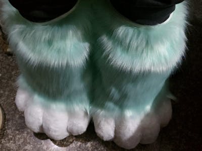 Fursuit claws fursuit Furui control