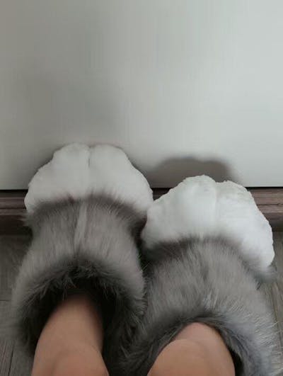 Fursuit claws fursuit Furui control