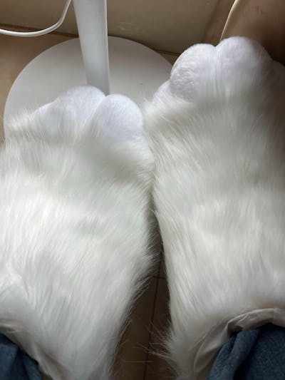 solid color shoes fursuit fursuit paws