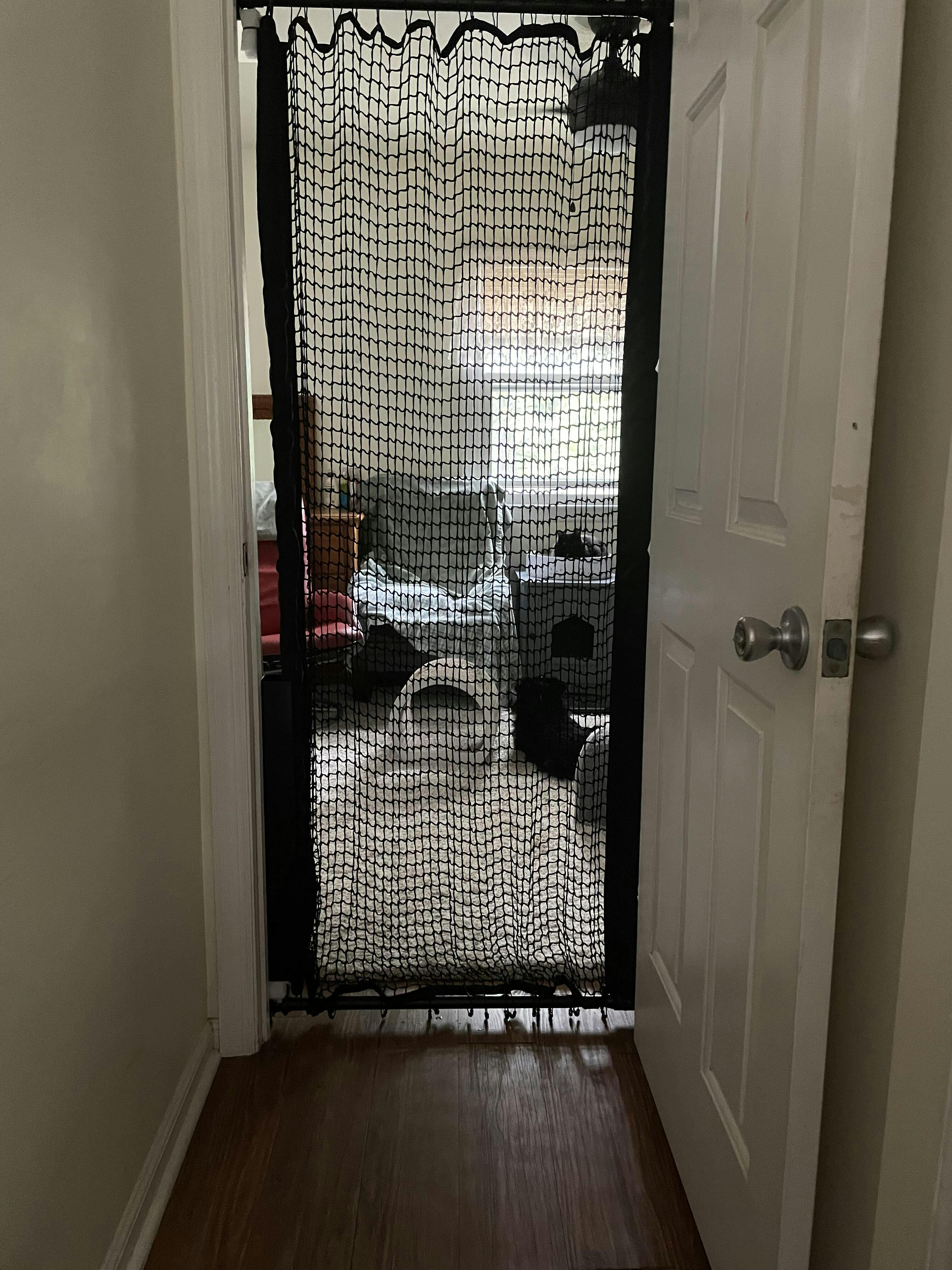 Cat gate extra tall 72", Pet gate for cats, Cat barrier for doorway