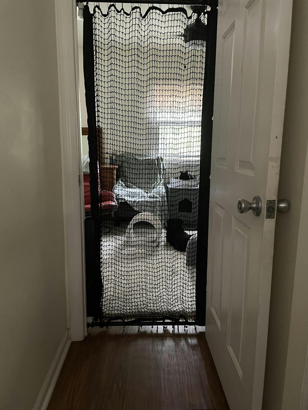 Cat gate extra tall 72", Pet gate for cats, Cat barrier for doorway