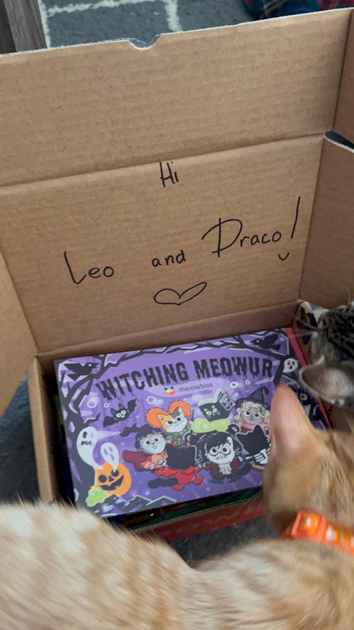 meowbox Subscription