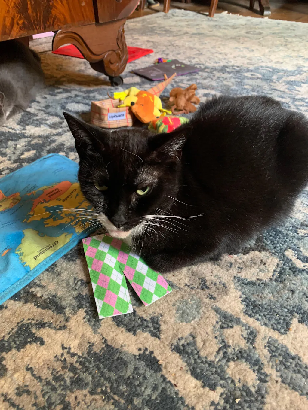 meowbox Cat Subscription Box