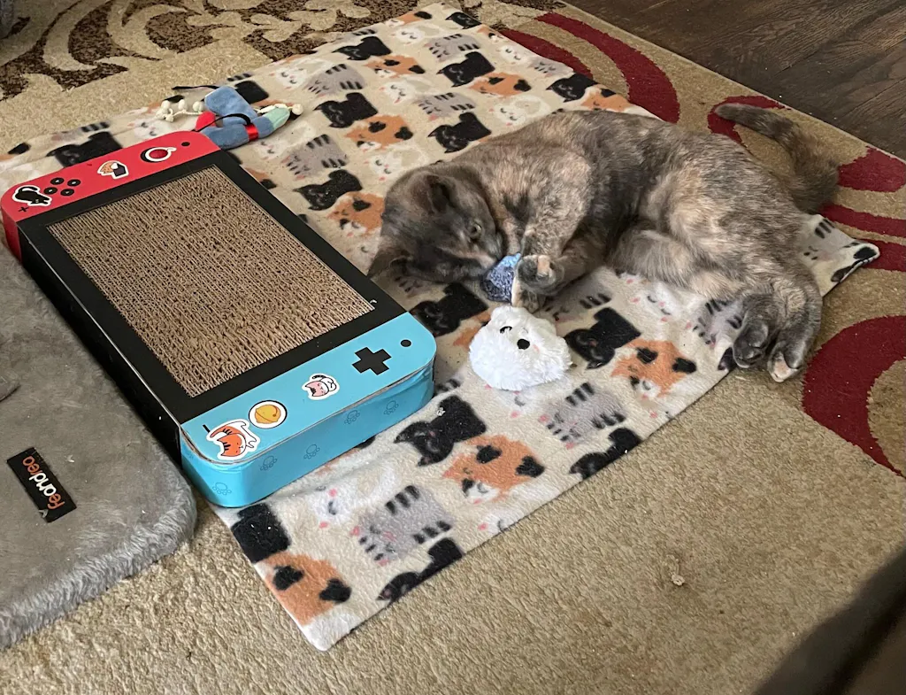 meowbox Cat Subscription Box