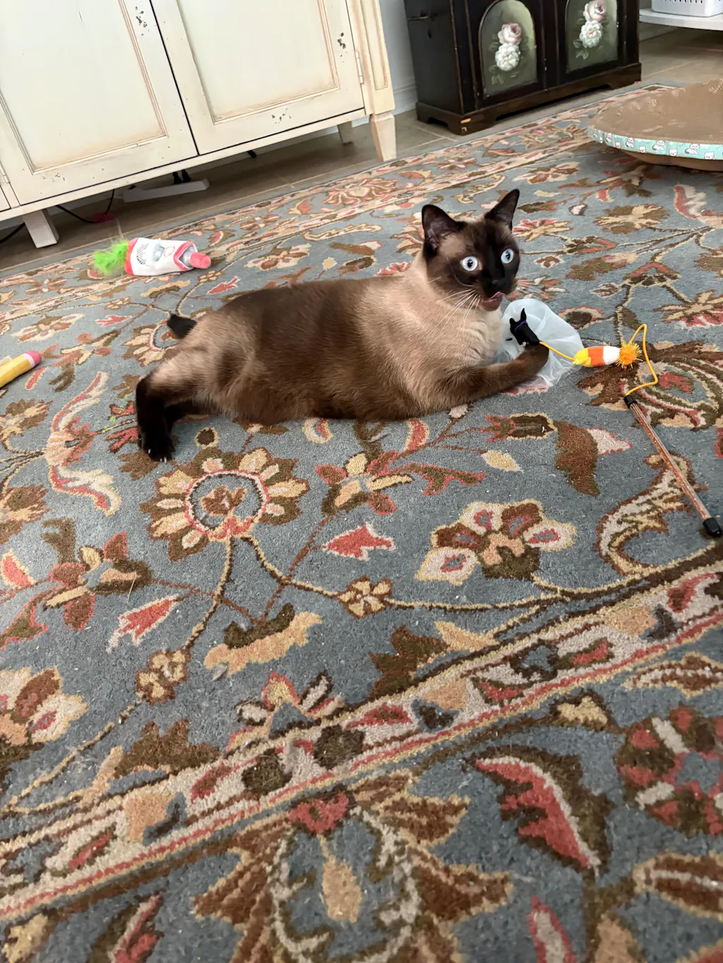 meowbox Cat Subscription Box