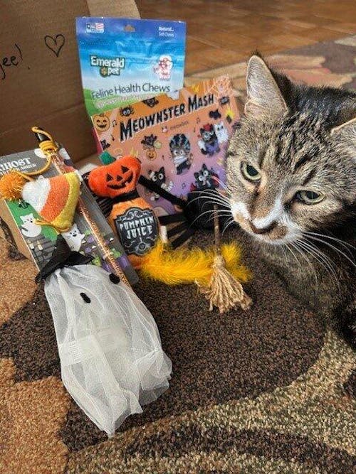 meowbox Subscription