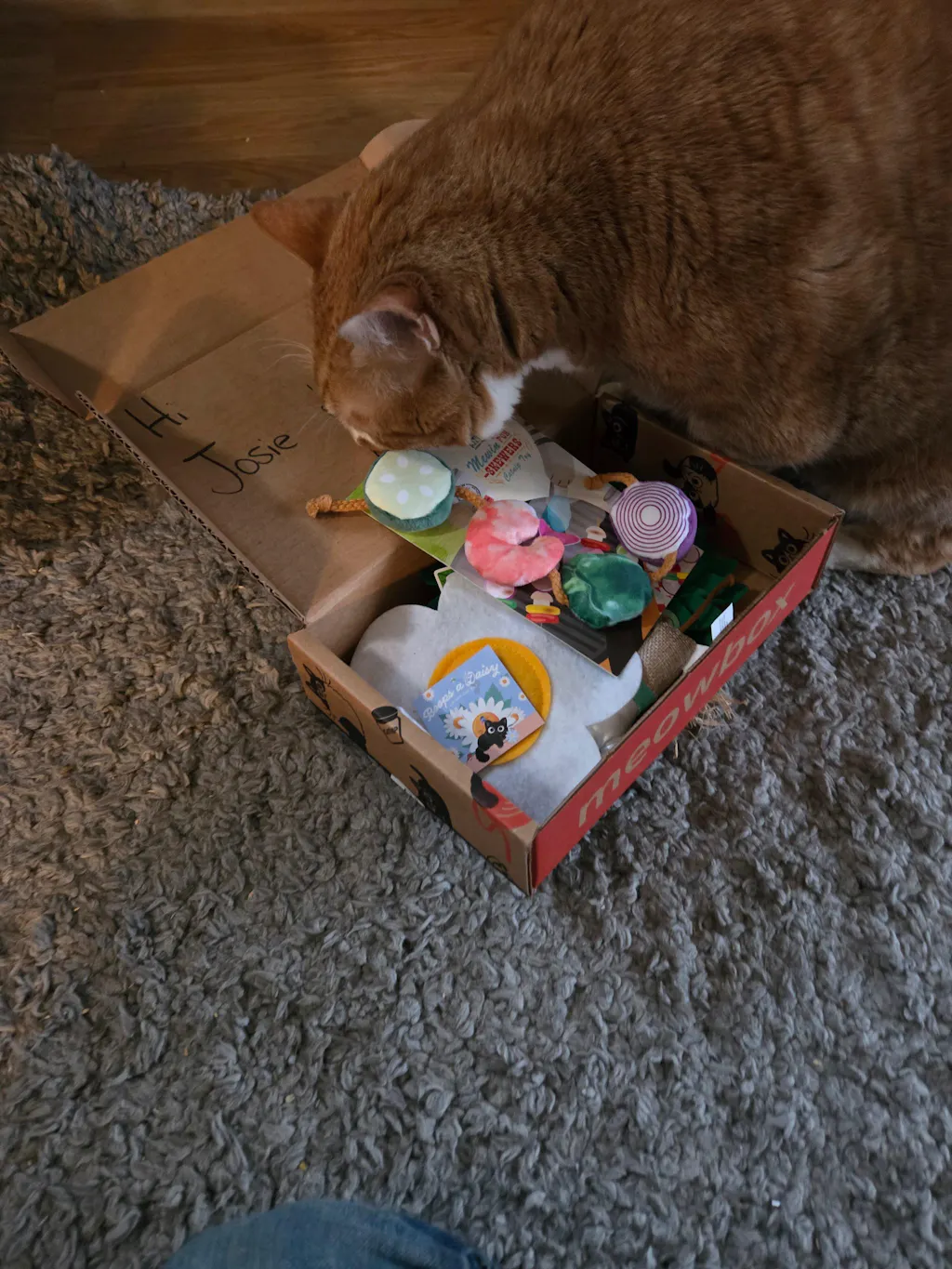 meowbox Cat Subscription Box Canada