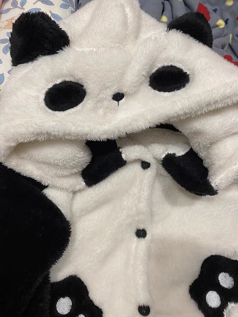 Cartoon Panda Plush Hooded Pajamas Set