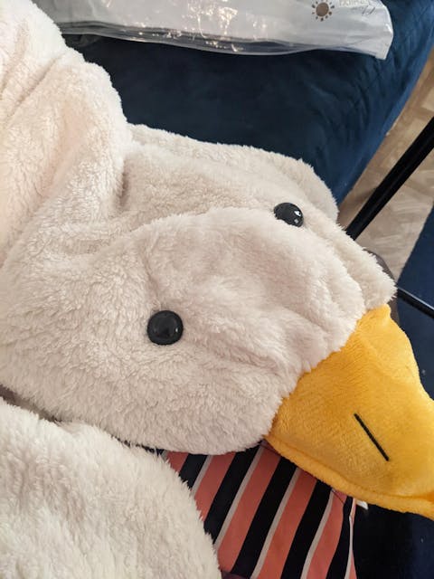 Funny Goose Plush Hooded Jumpsuit Pajamas Dress