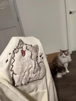 Cartoon Embroidery Singing Kitty Cat Sweatshirt Hoodie