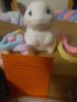 Furry Baby Rabbit Animal Customizable Handmade Taba Squishy | Squeezable Stress Relief Fidget Toy