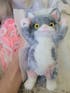 Furry Laying Playful Calico Kitten Cat Handmade Taba Squishy | Squeezable Stress Relief Fidget Toy