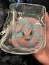 Lighter Color Coiled Snakes Animal Handmade Taba Squishy | Squeezable Stress Relief Fidget Toy