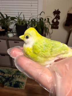 Furry Birds Animal Customizable Handmade Squishy Fidget Toy