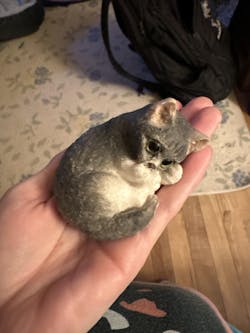 Furry Gray & White Laying Kitten Cat Animal Customizable Handmade Squishy Fidget Toy