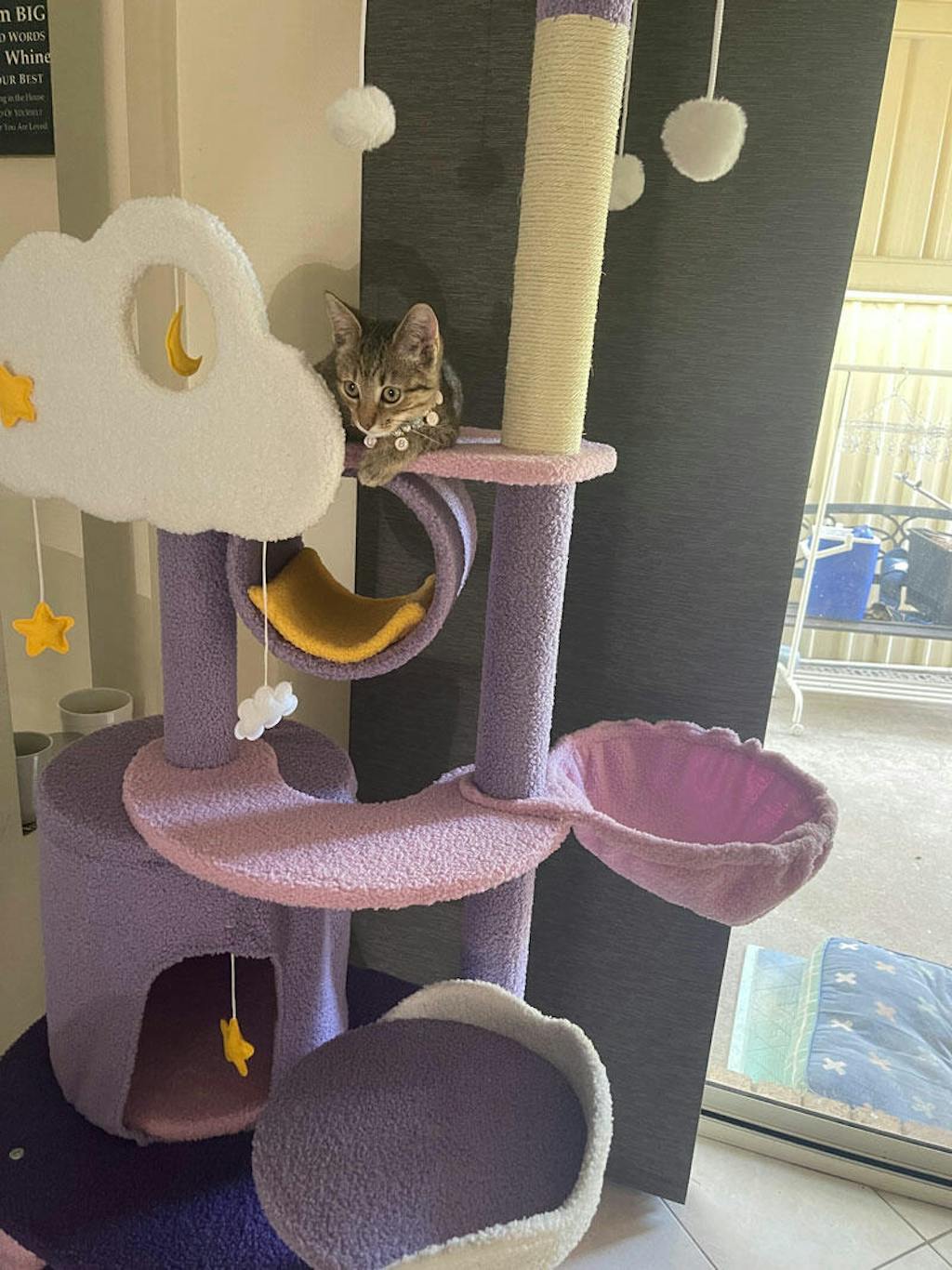 Dreamland Cat Climb Tree Tower Cat Scratching Post Climbing Frame MEWCATS