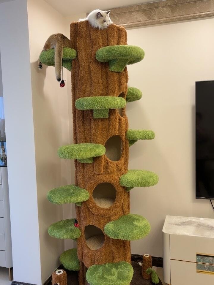 Luxury Cat Tree Looks Like Tree Climbing Frame MEWCATS