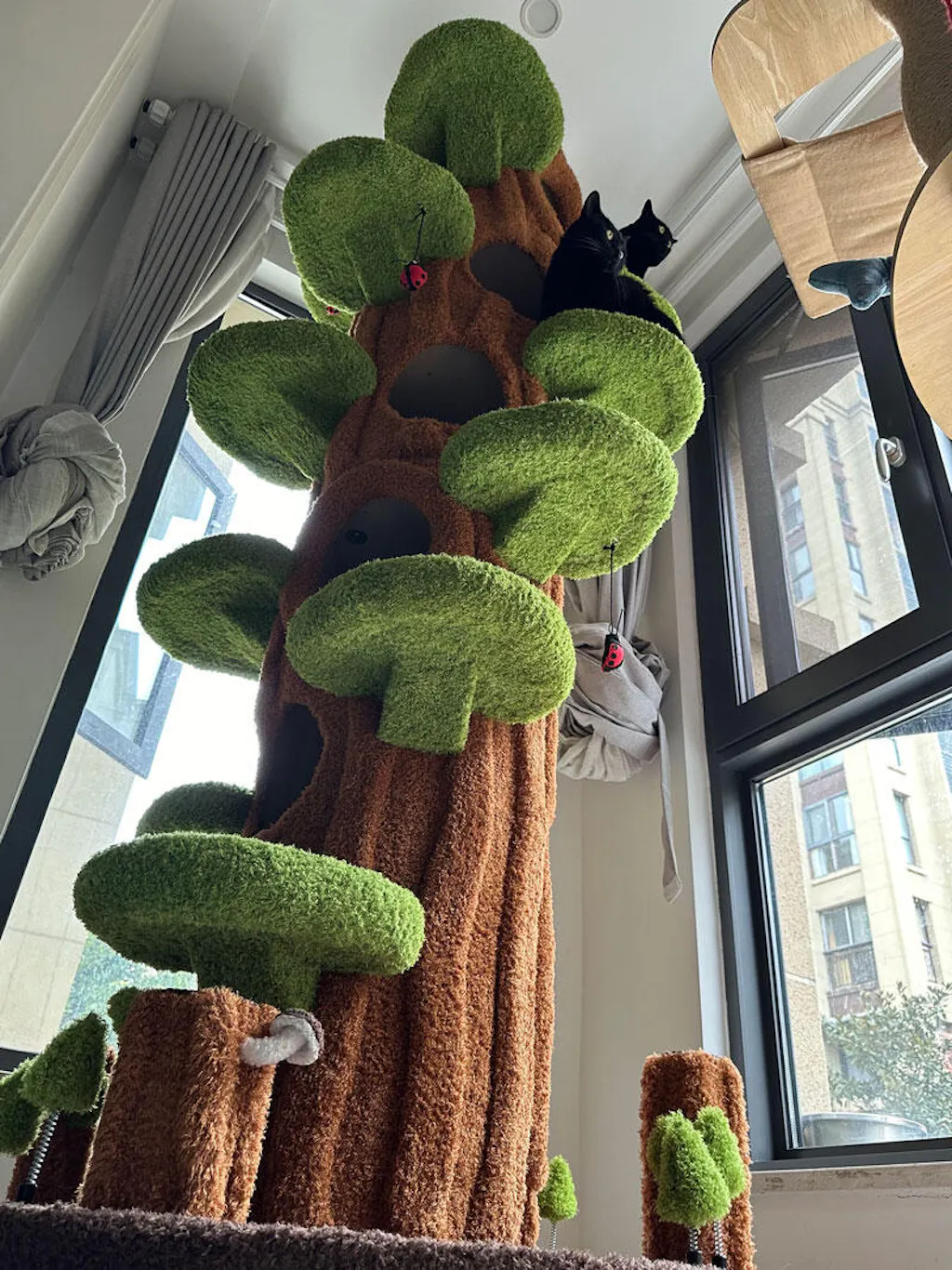 Exciting Cat Tree That Looks Like Tree Pictures