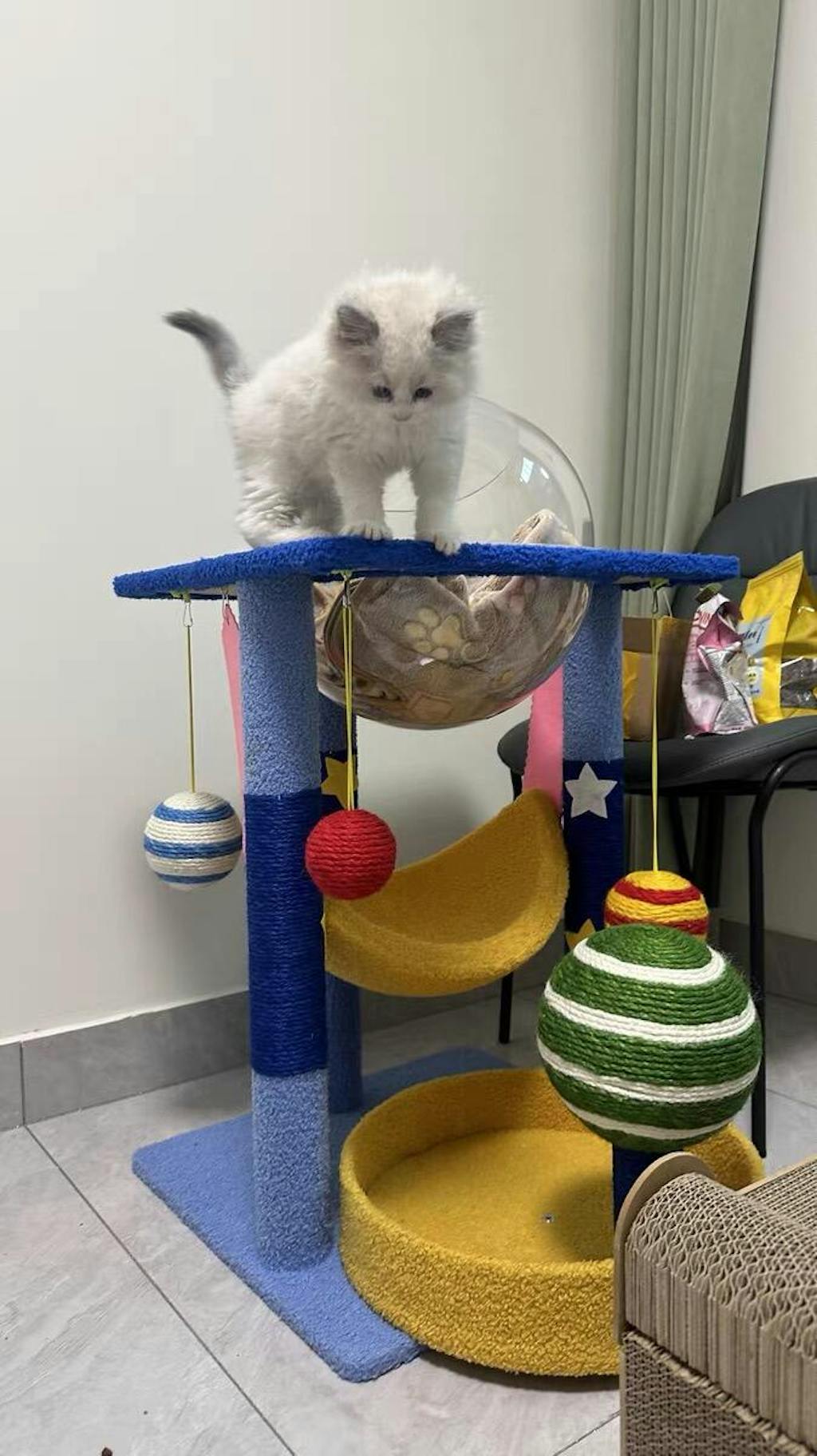 Planets Cute Cat Climbing Frame Tower Tree | MEWCATS | Reviews on Judge.me, image size:1024x1823