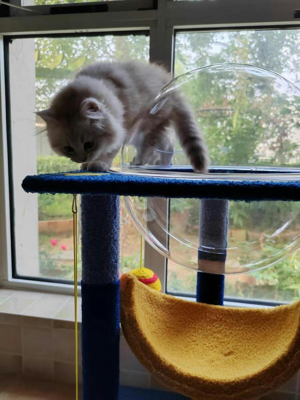 New Silver Needle Cartoon Cute Little Monster Cat Eye Stone Earrings Niche  Design Sense Of Childish New Wave Earrings - AliExpress, image size:1024x1365