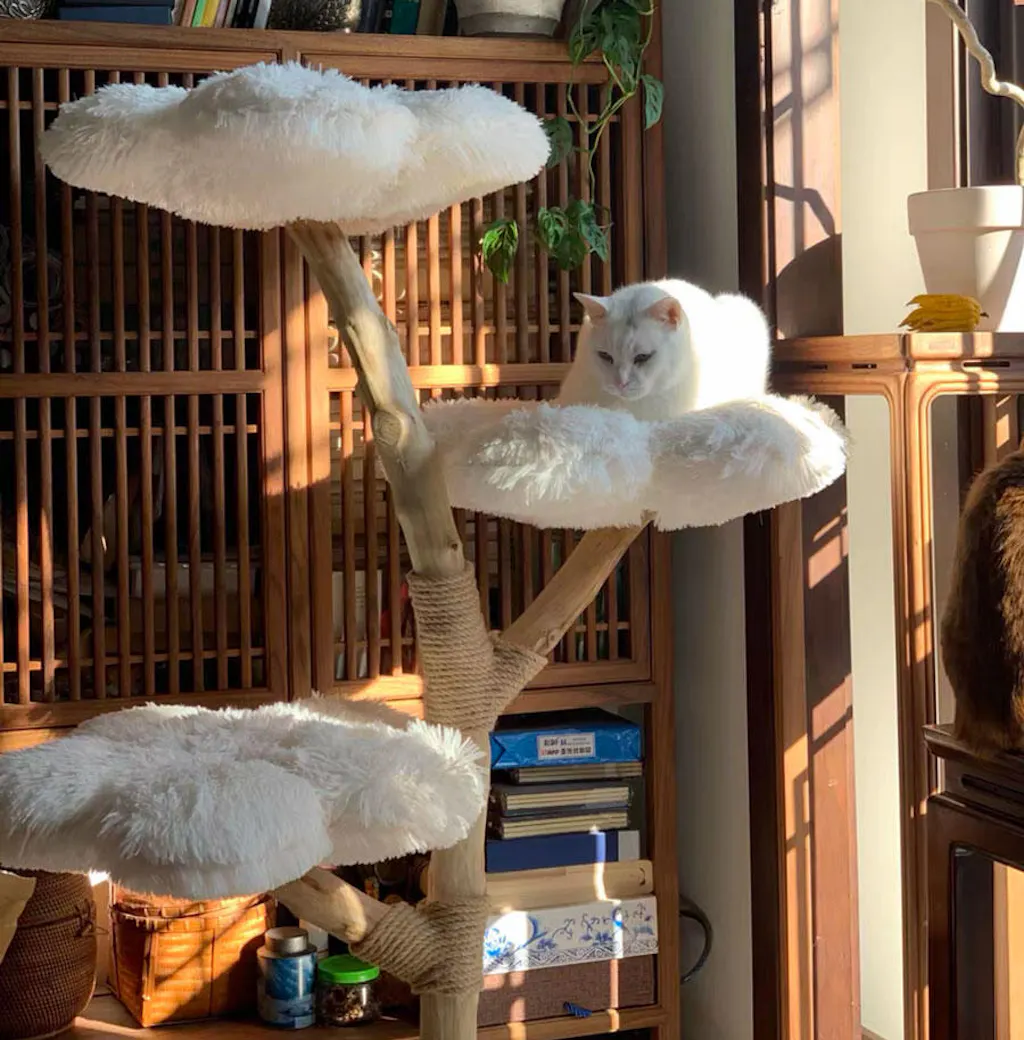 Clouds Deluxe Solid Wood Cat Tree Climbing Frame MEWCATS — free download