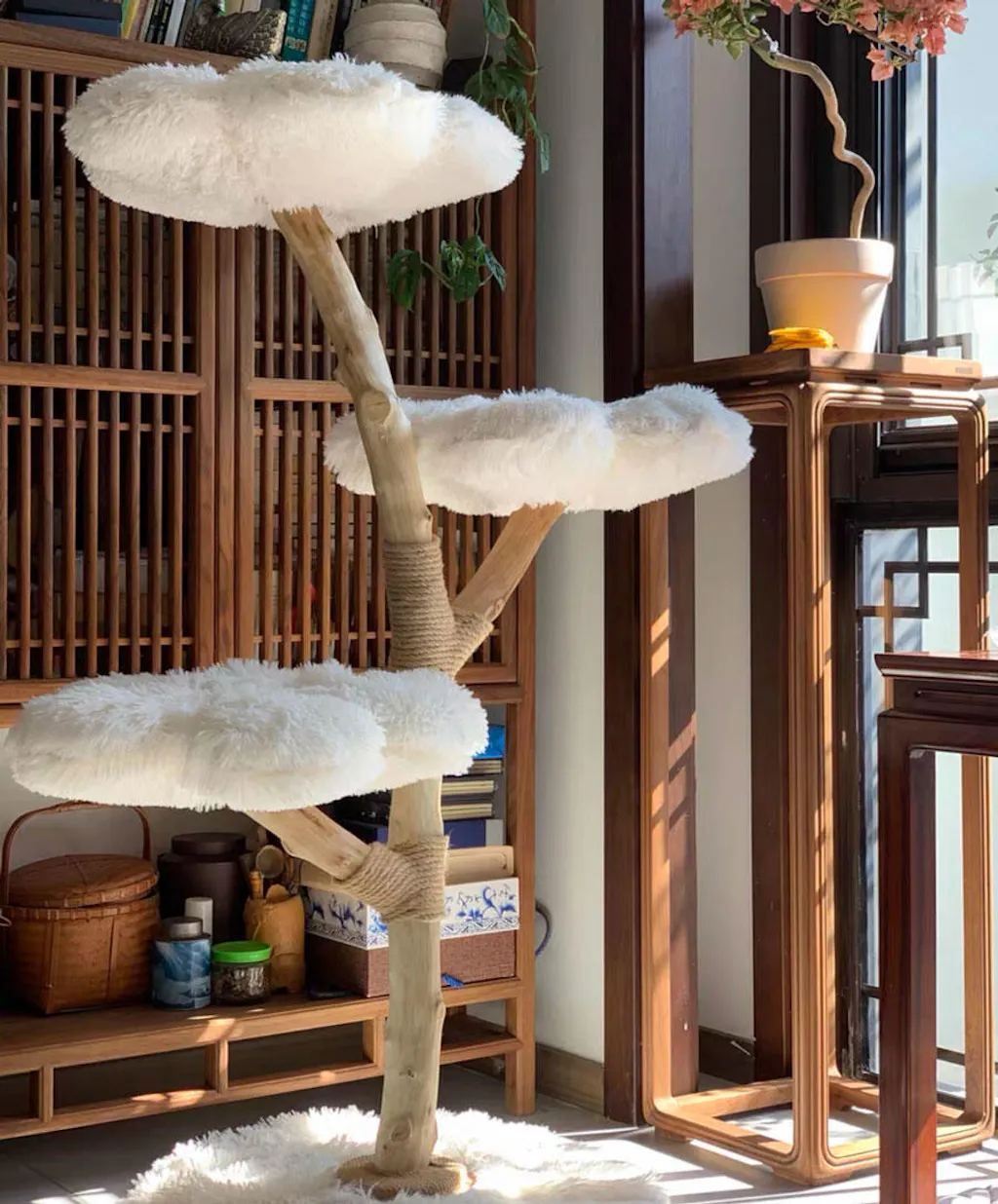 Clouds Deluxe Solid Wood Cat Tree Climbing Frame MEWCATS — free download