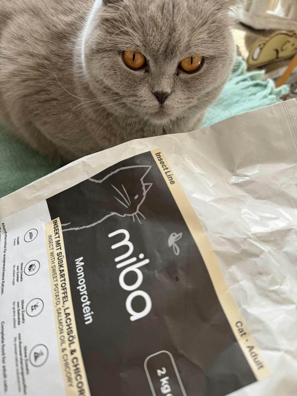 Insekten-Trockenfutter Katze: Hypoallergen bei Futtermittelallergie