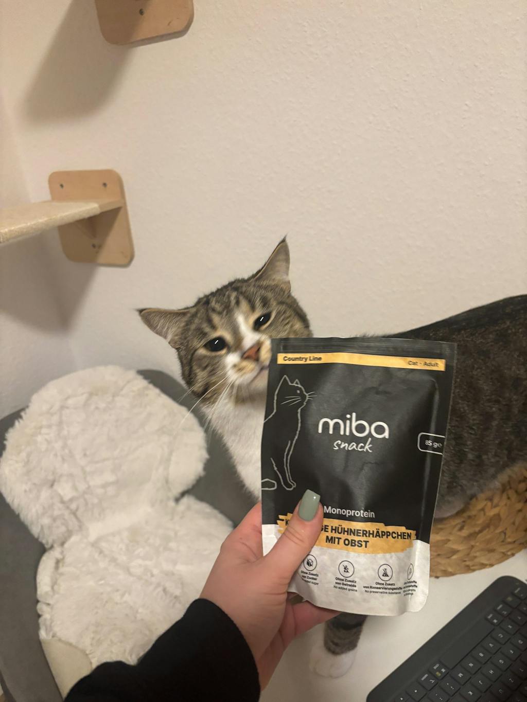 Knusprige Hühnerhäppchen mit Obst