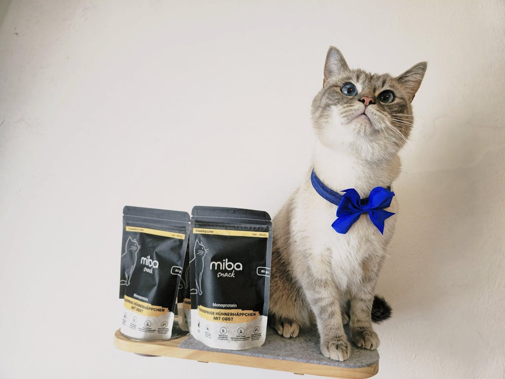 Knusprige Hühnerhäppchen mit Obst