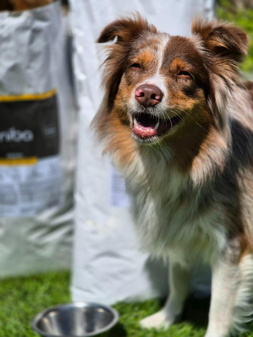 Trockenfutter Hund Huhn & Kartoffel – Monoprotein für Gelenke