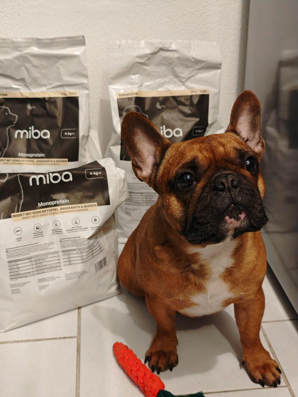 Insektenfutter Hund – Hypoallergen & Purinarm (Leishmaniose)