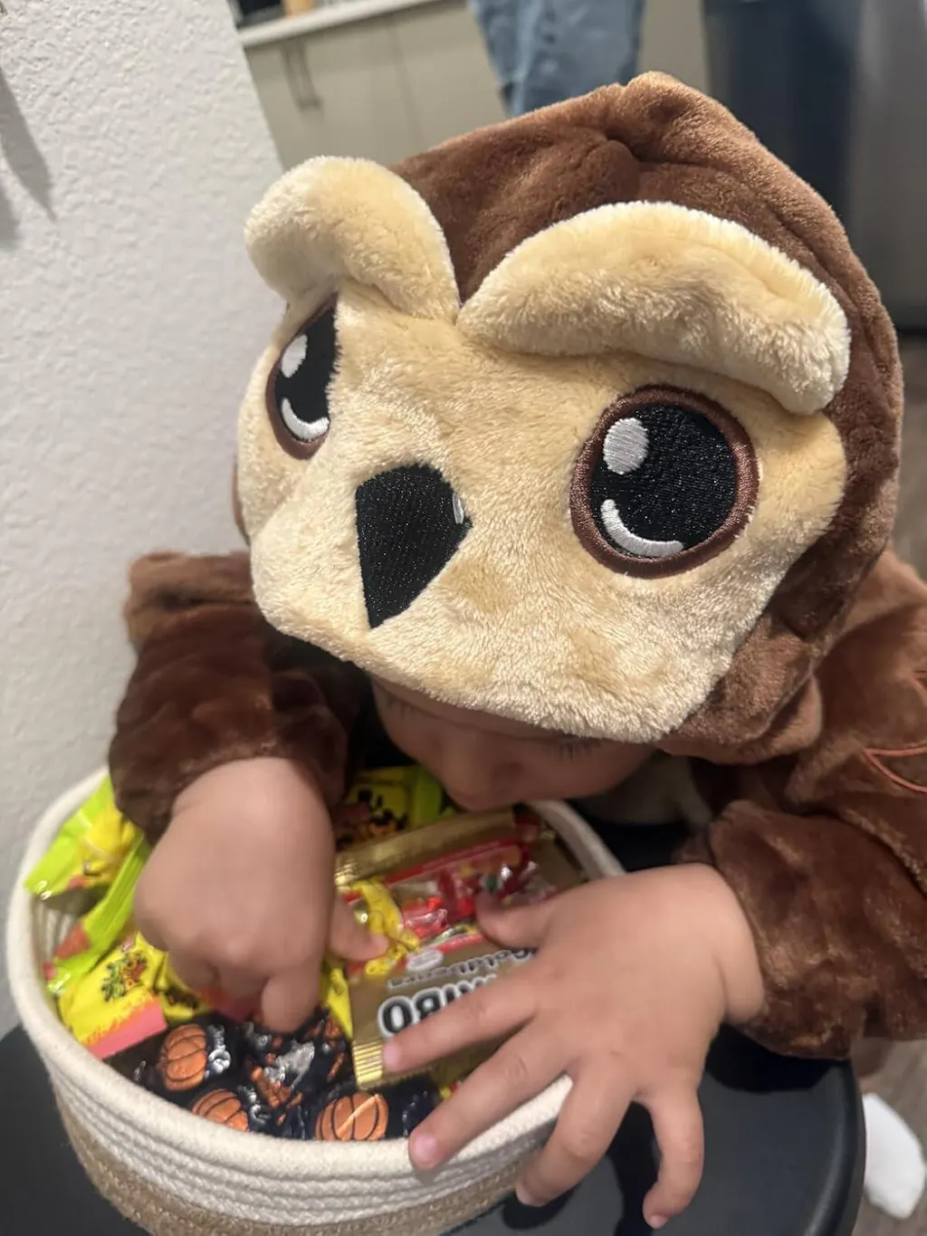 MICHLEY Baby Brown Owl Hooded Romper Soft Flannel Forest Owl Costume