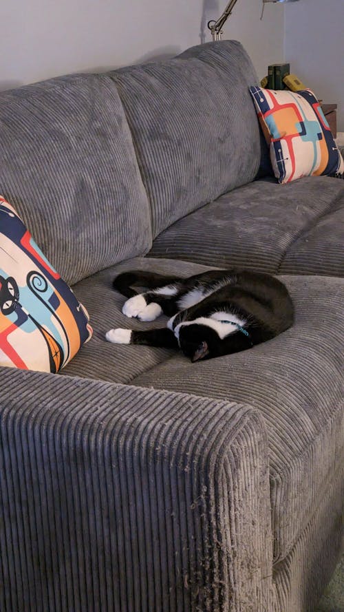 Atomic Cat Pillow, Mid Century Modern Geometric Retro Pillow And Insert