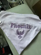 Custom Embroidered Bandana