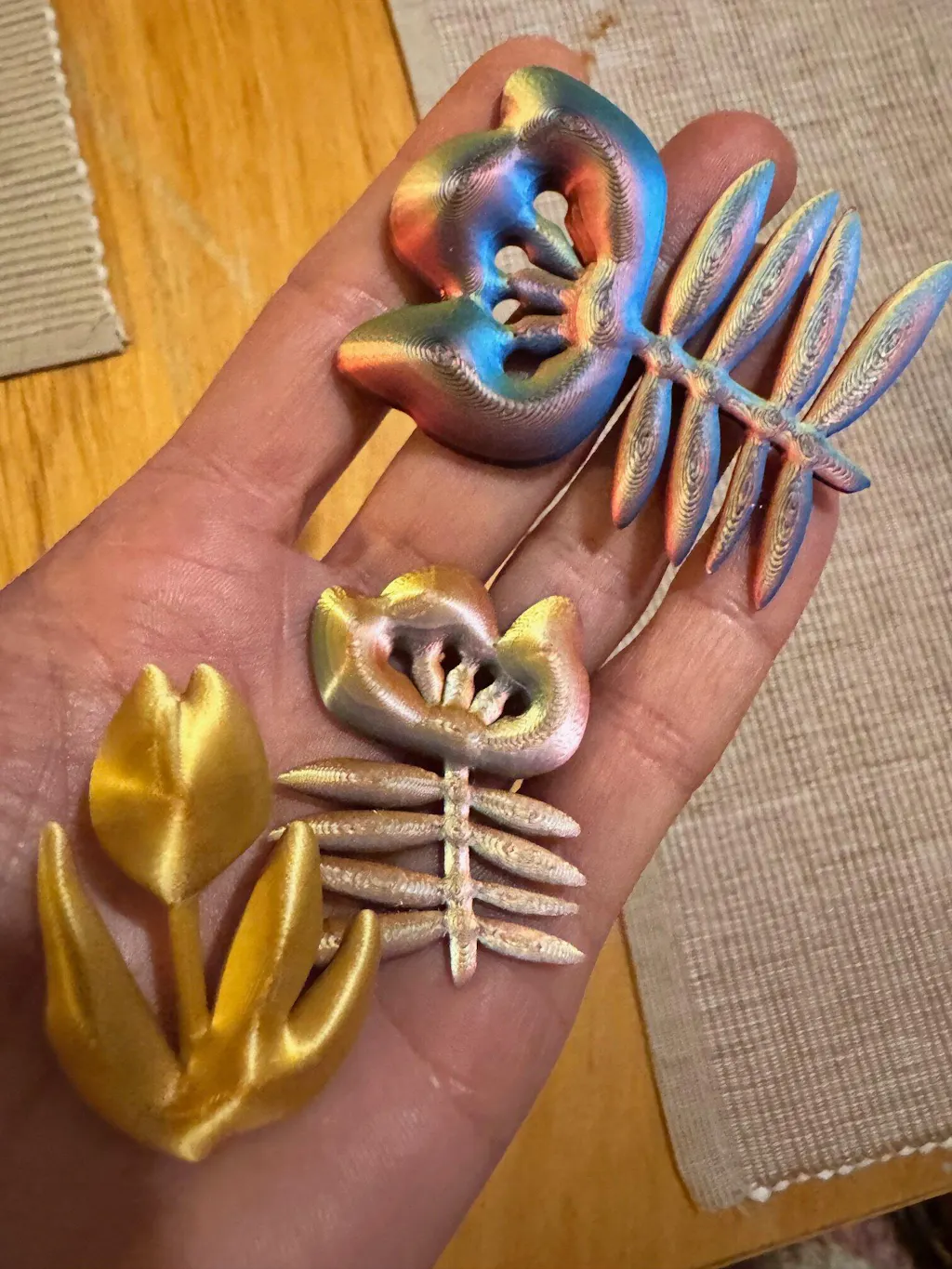 Créoles "Les idées folles"