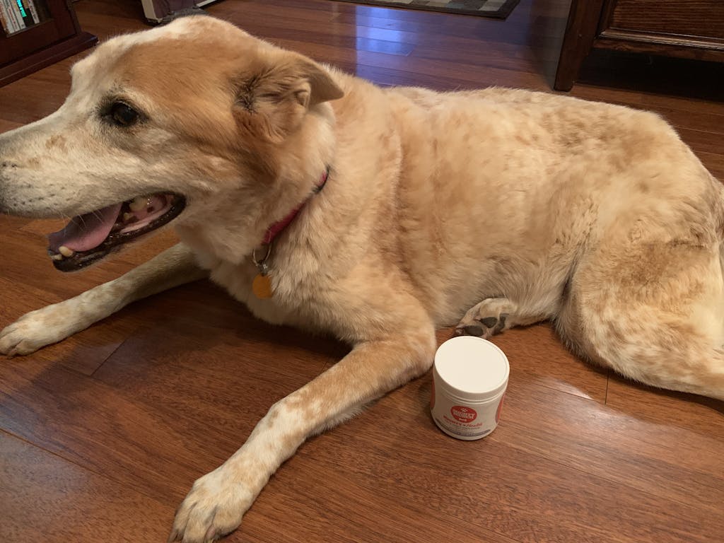 Mighty Munch Dental Care