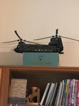 User picture