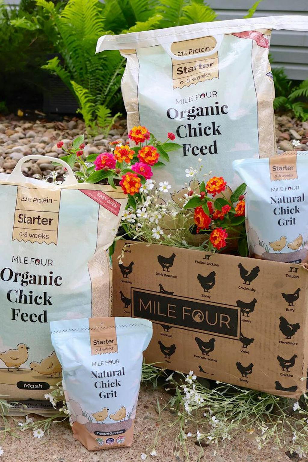 Buy Organic Starter Chicken Feed Best Feed for Baby Chicks NonGMO