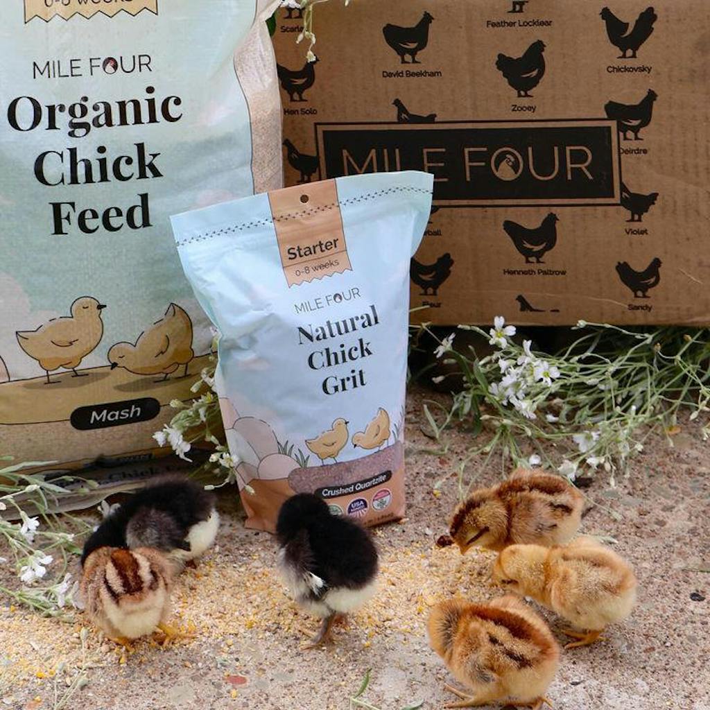 Buy Organic Starter Chicken Feed Best Feed for Baby Chicks NonGMO