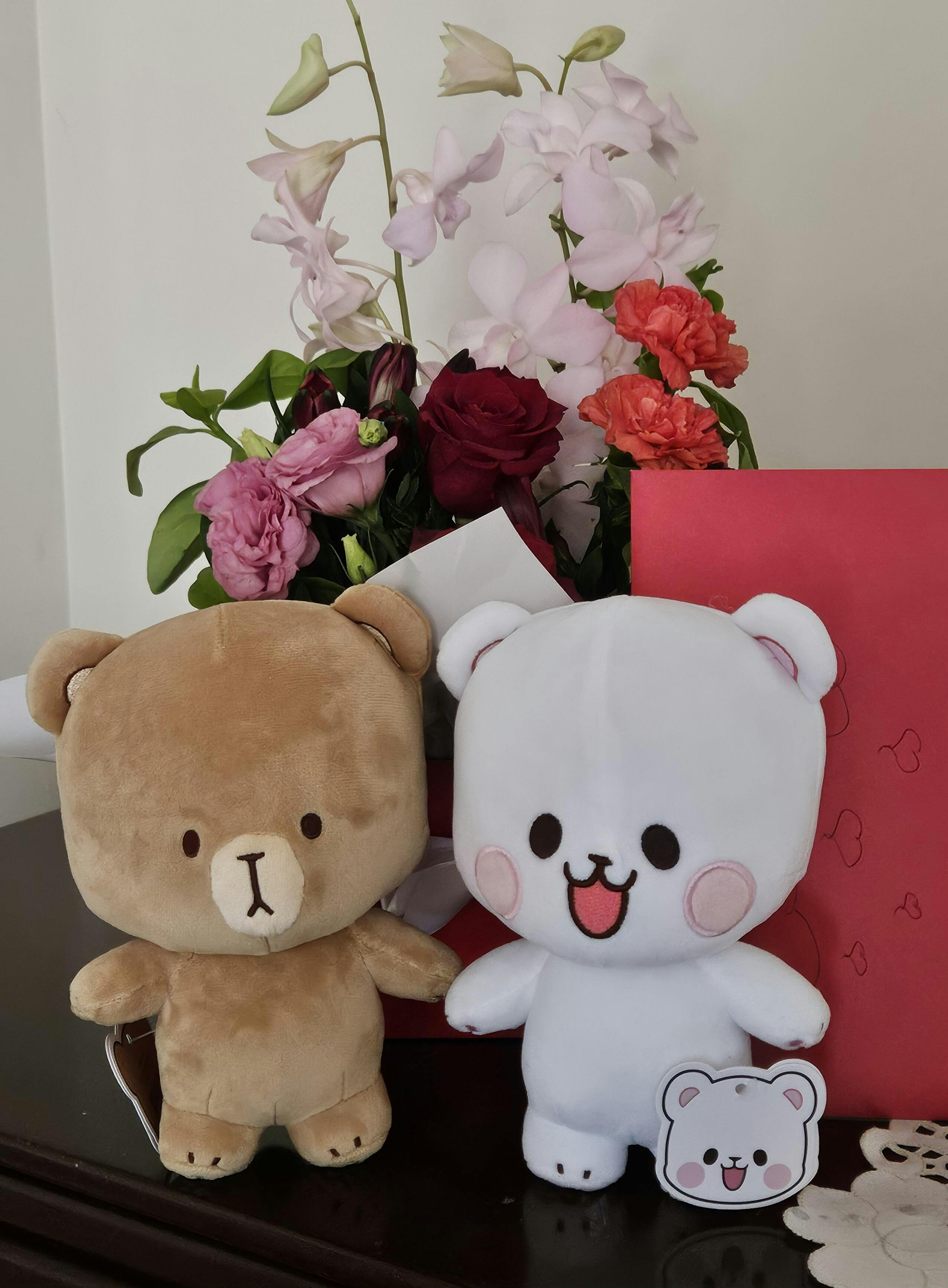 Milk Plush – Milkmochabear