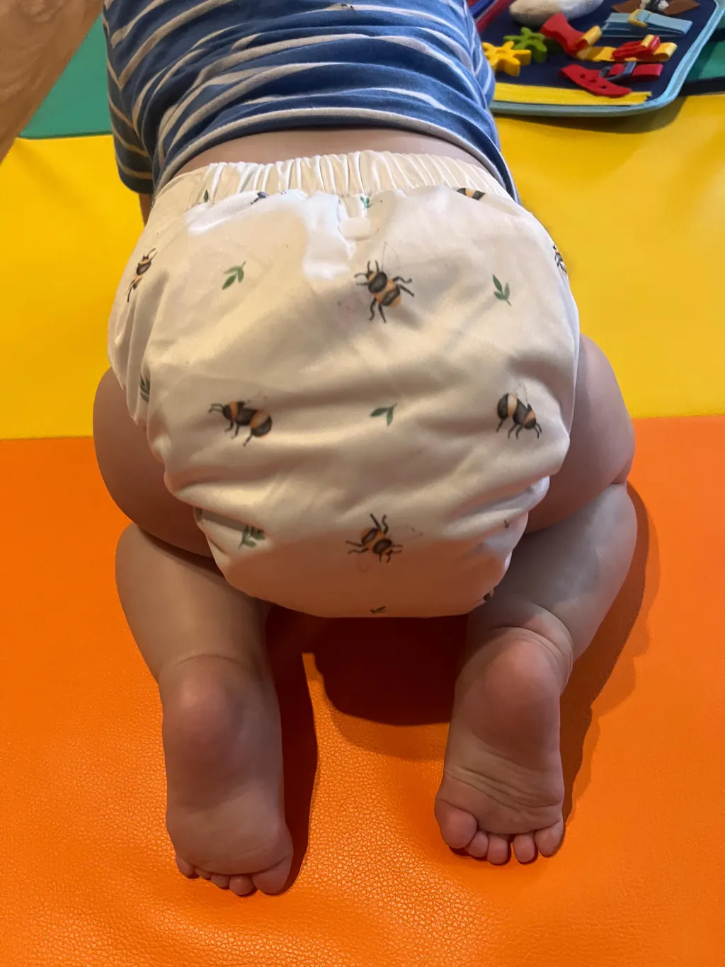 Beau 2.0 Modern Cloth Nappy