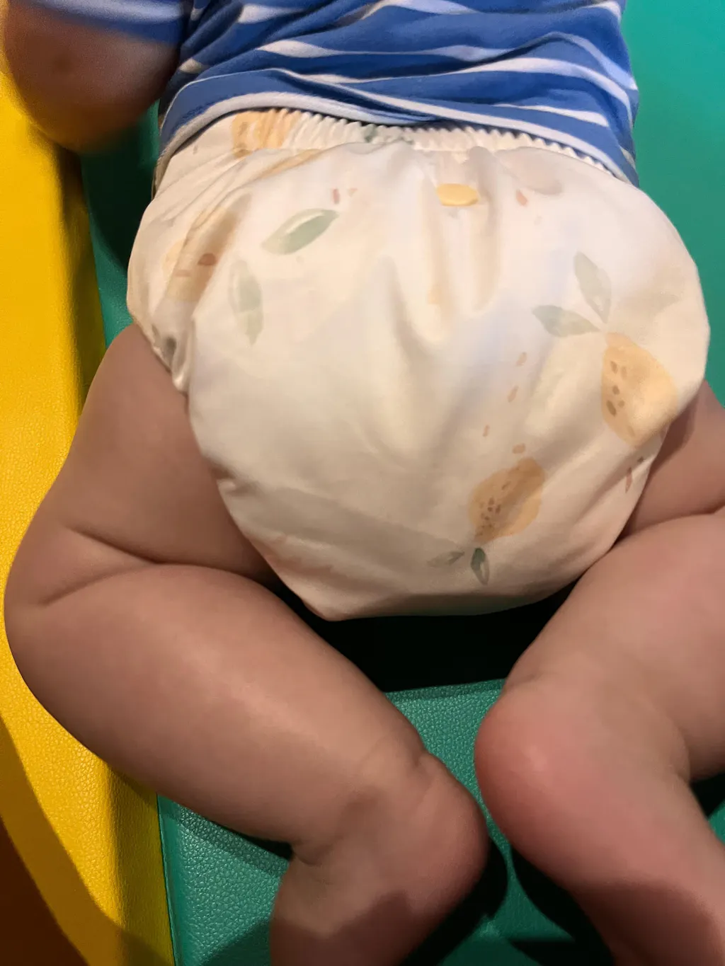 Goose 2.0 Modern Cloth Nappy