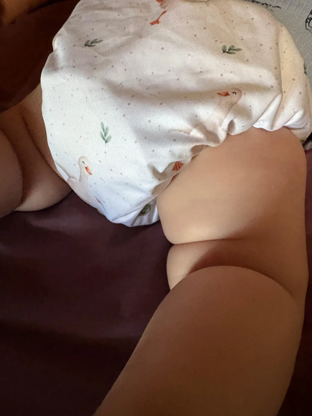 Goose 2.0 Modern Cloth Nappy