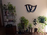 The Flow Wall Hanging – Cotton Macrame Wave Art for Boho Decor V93