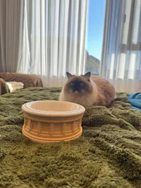 Roman Bowl Base – Beige Edition