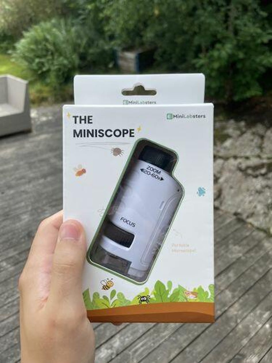 The Miniscope – MiniLabsters
