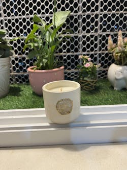 Manifest - Sea Whisper ( Medium)