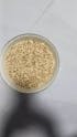 Mini popcorn machine 304 stainless steel grain amplifier