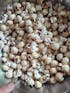 Mini popcorn machine 304 stainless steel grain amplifier